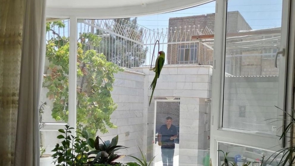 پنجره دوجداره خم upvc در تهران