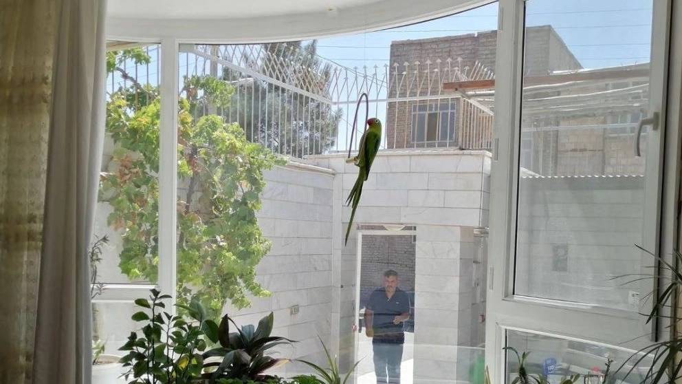 پنجره دوجداره خم upvc در تهران